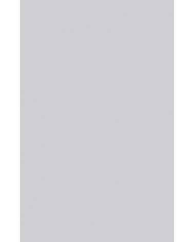 Transparentpapier/Vellum A4 - 100g/qm - bedruckbar